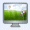 Web Design Service